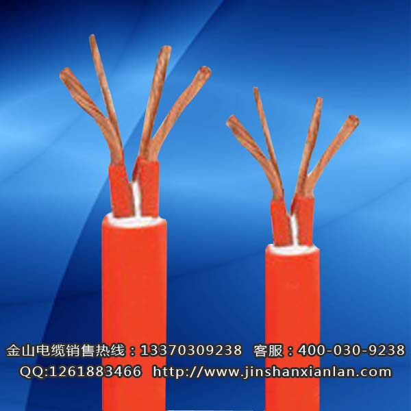 戶外升降機電纜FTCWYJ、FCTW...